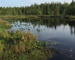 The place has a pond named Redmond?s Pond which covers over 23 hectares of its area. The pond got its name based on the Redmond family who was the own